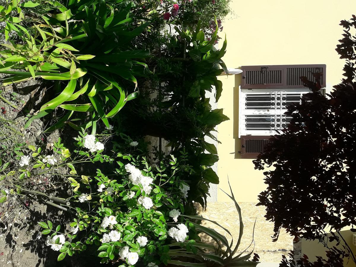 Aliso' Διαμέρισμα Sarzana Εξωτερικό φωτογραφία
